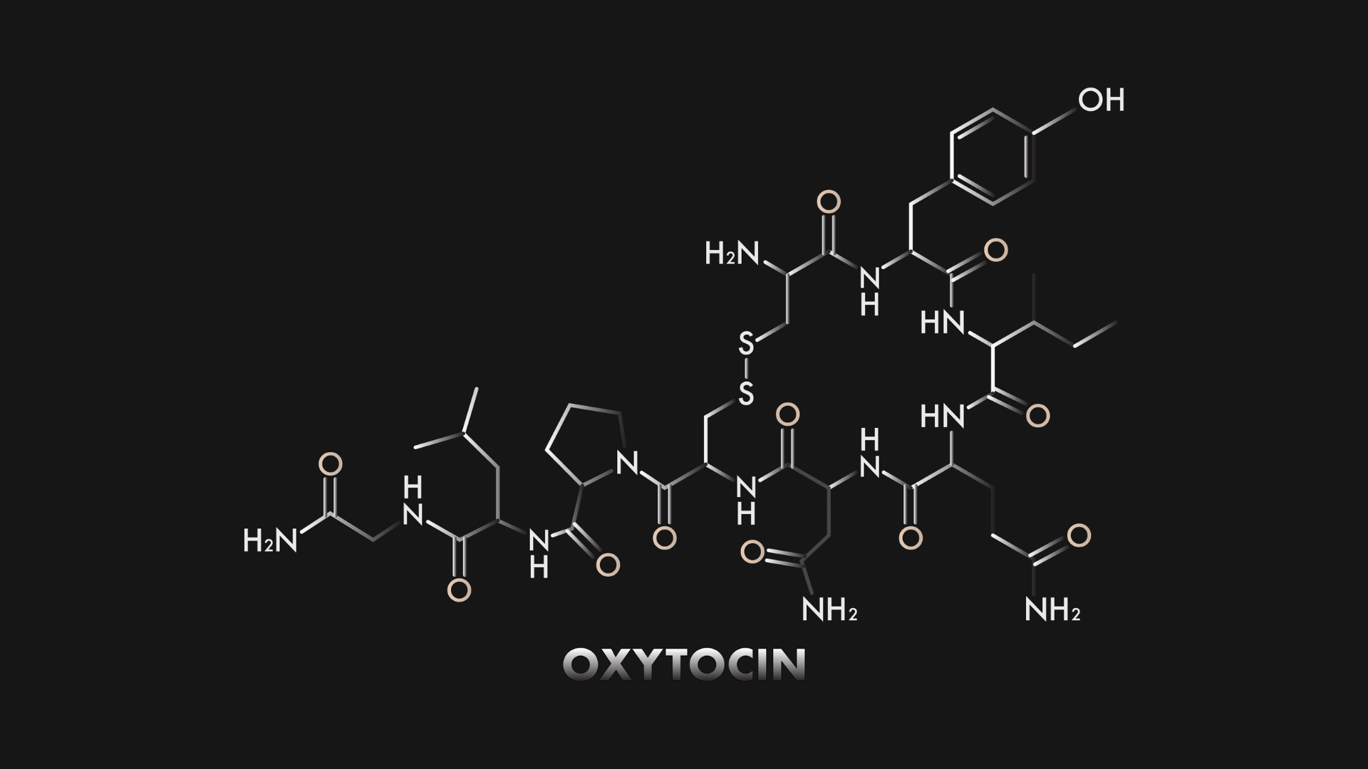 Oxytocin Perfumes - What You Need to Know